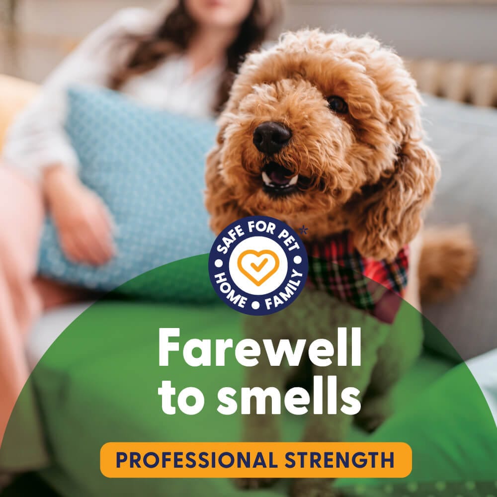 Dog allergy immune supplement jar with '25% OFF' promotion and heart-shaped chews.