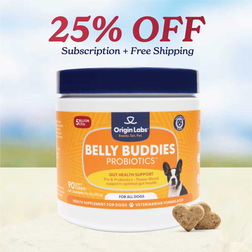 Dog allergy immune supplement jar with '25% OFF' promotion and heart-shaped chews.
