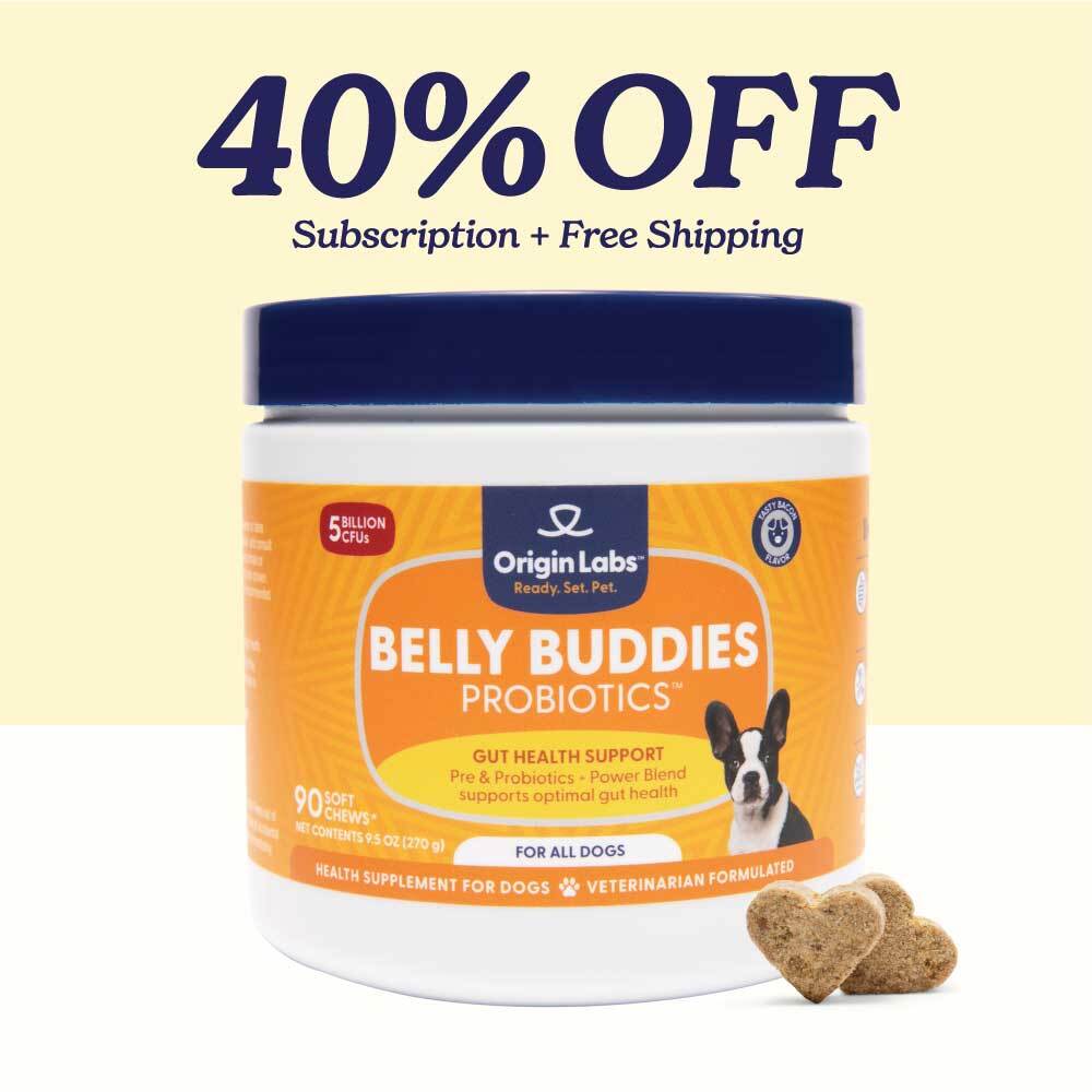 Dog allergy immune supplement jar with '25% OFF' promotion and heart-shaped chews.