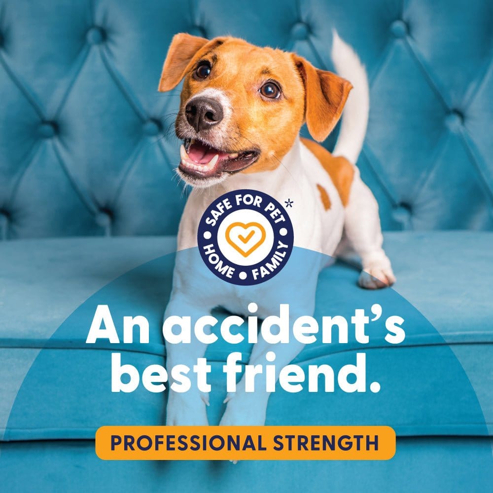 Dog allergy immune supplement jar with '25% OFF' promotion and heart-shaped chews.