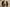a close photograph up of a dog looking at the camera