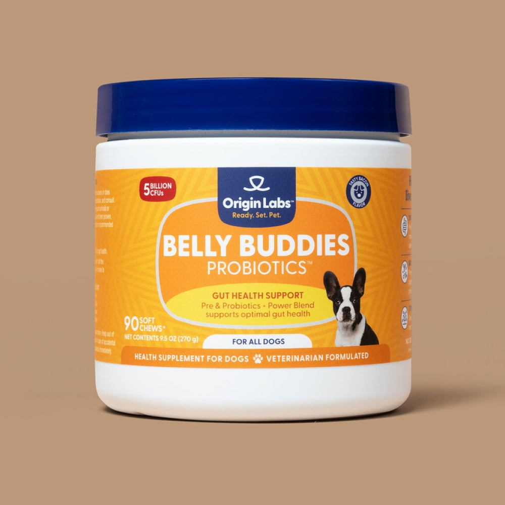 Belly Buddies Probiotics for Dogs