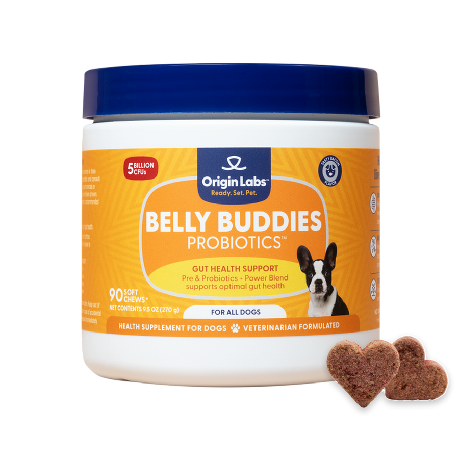 Belly Buddies Probiotics for Dogs