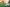 Promotion banner