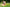 Promotion banner