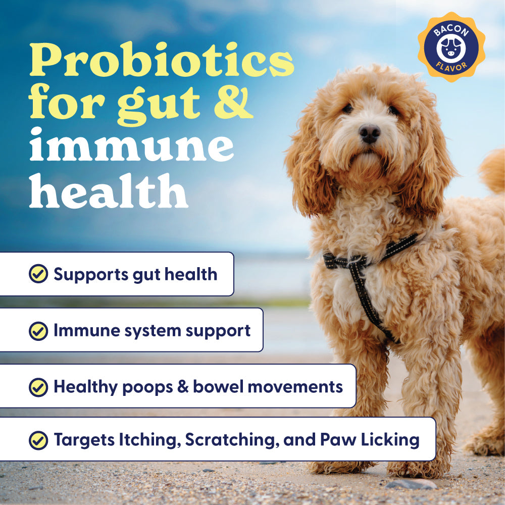 Dog allergy immune supplement jar with '25% OFF' promotion and heart-shaped chews.