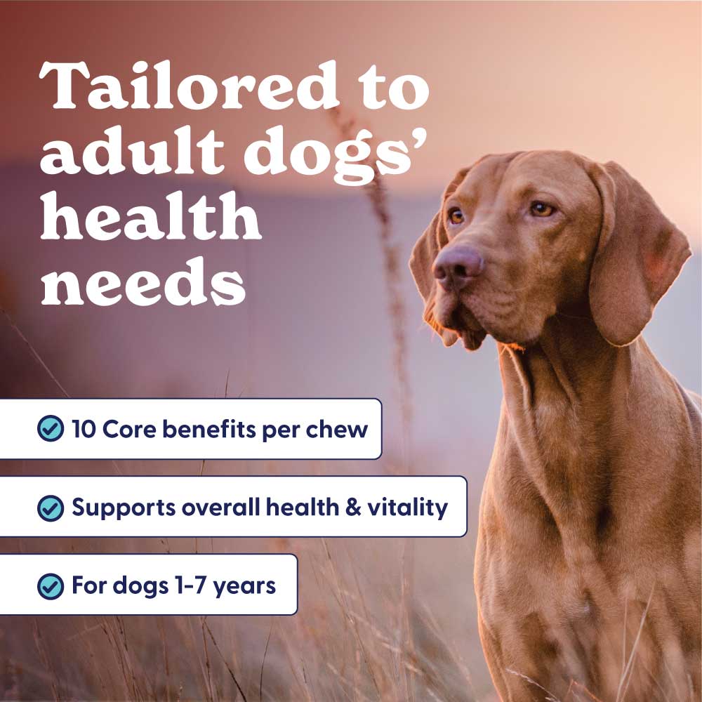 Adult Dog Ultimate Health  Chew
