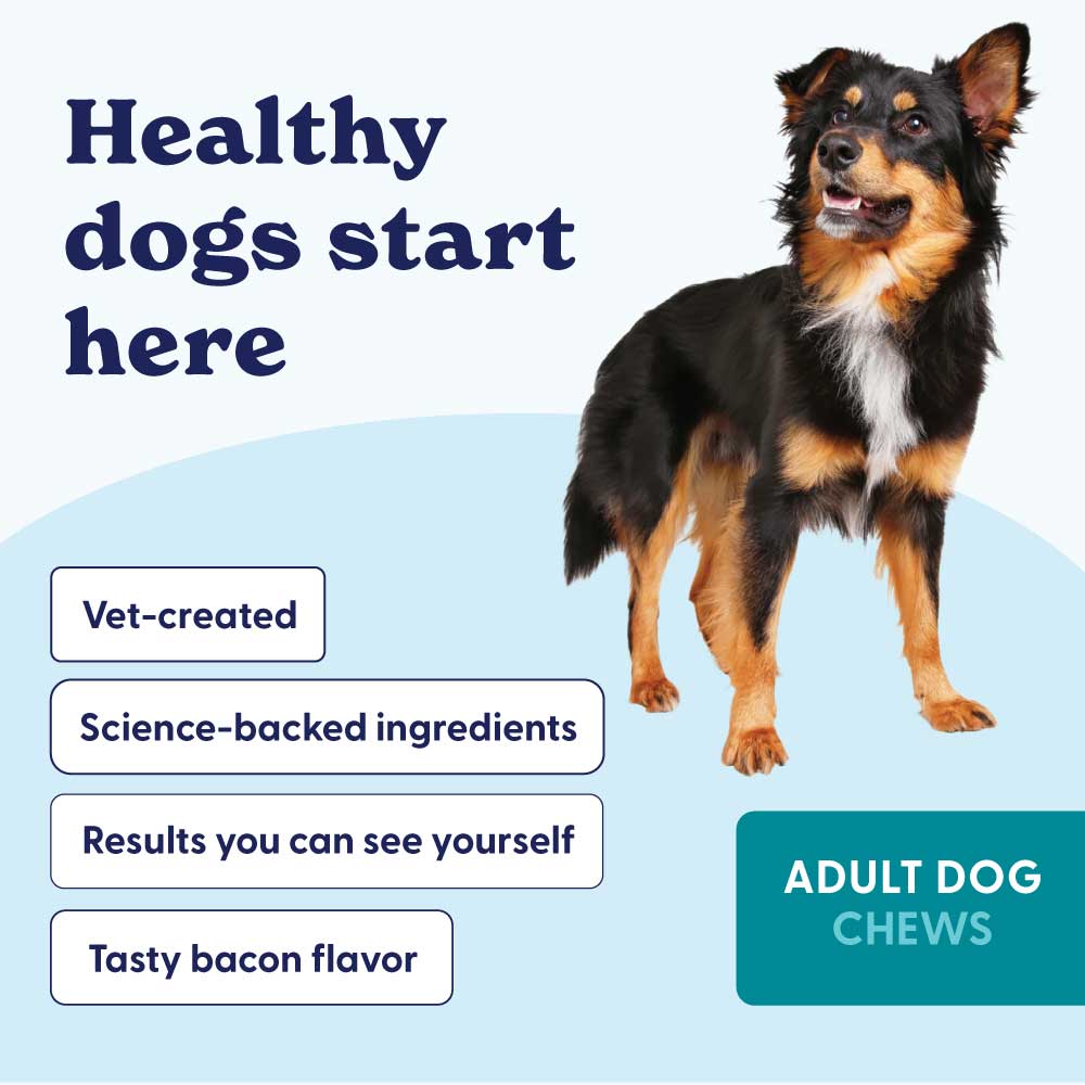 Adult Dog Ultimate Health  Chew