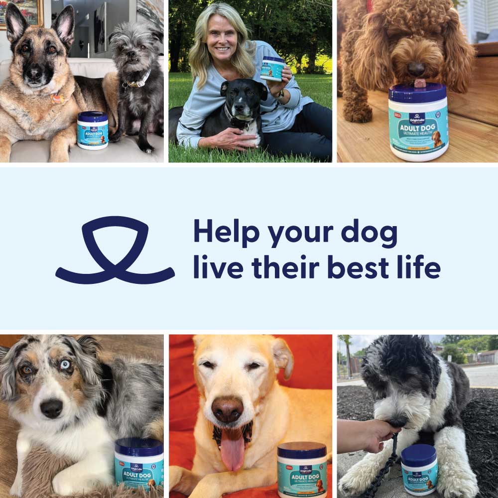 Adult Dog Ultimate Health  Chew