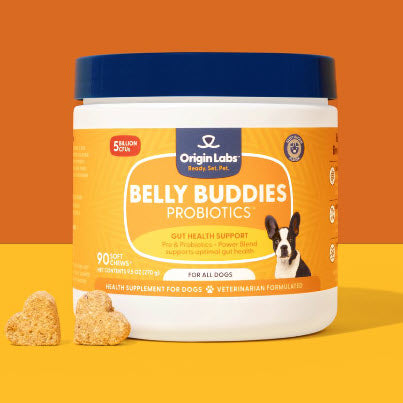 Belly Buddies Probiotic Chews for Dogs