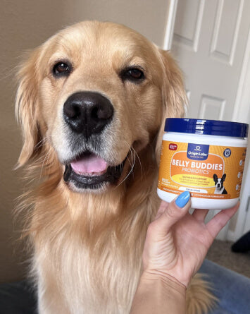 content-450942 6.jpg