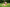 Promotion banner