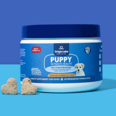 Belly Buddies Probiotic Chews for Dogs