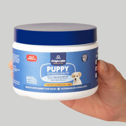 Belly Buddies Probiotic Chews for Dogs